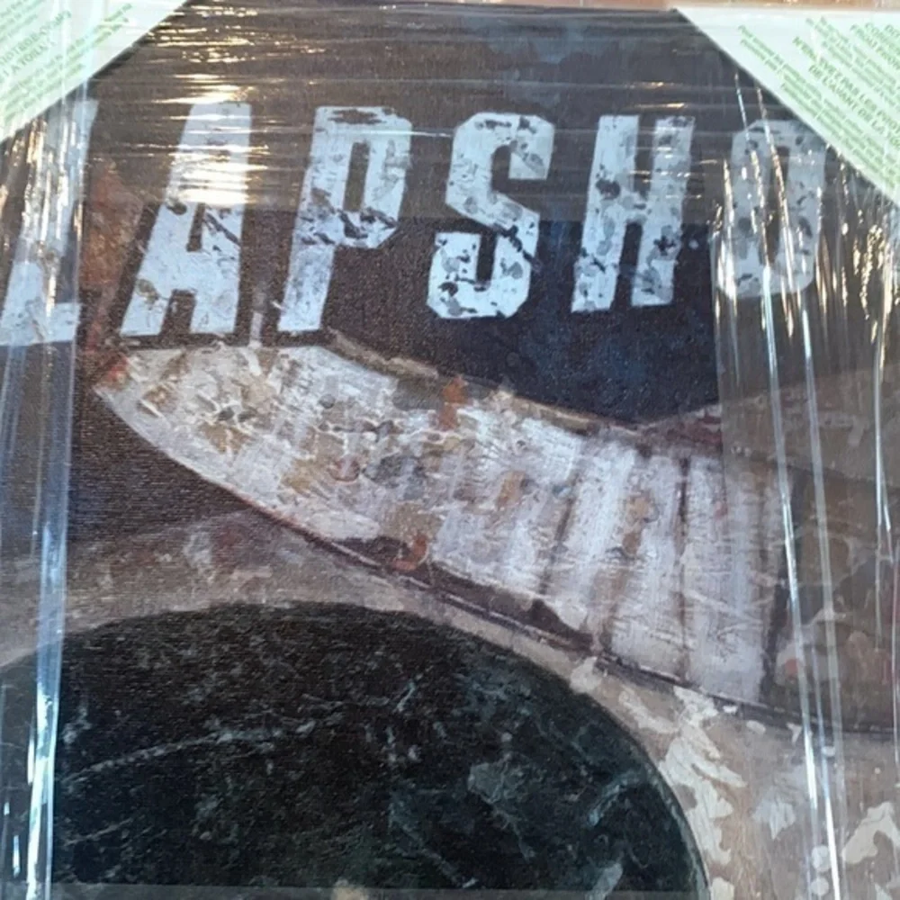 New Oopsy Daisy Slapshot & ProAm Racing Canvas Picture Wall Art 14” Square NWT